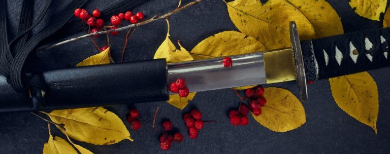Il peso della katana